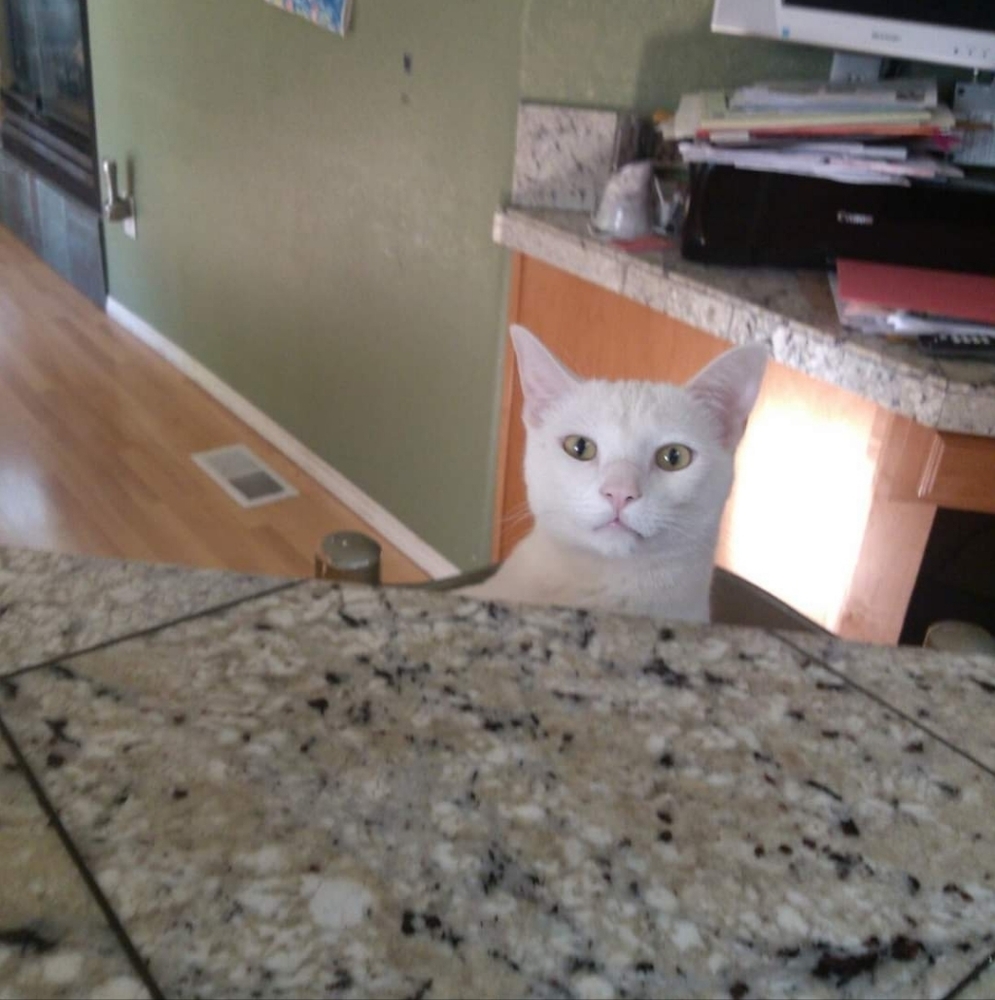 Meet your Posher, Cindy